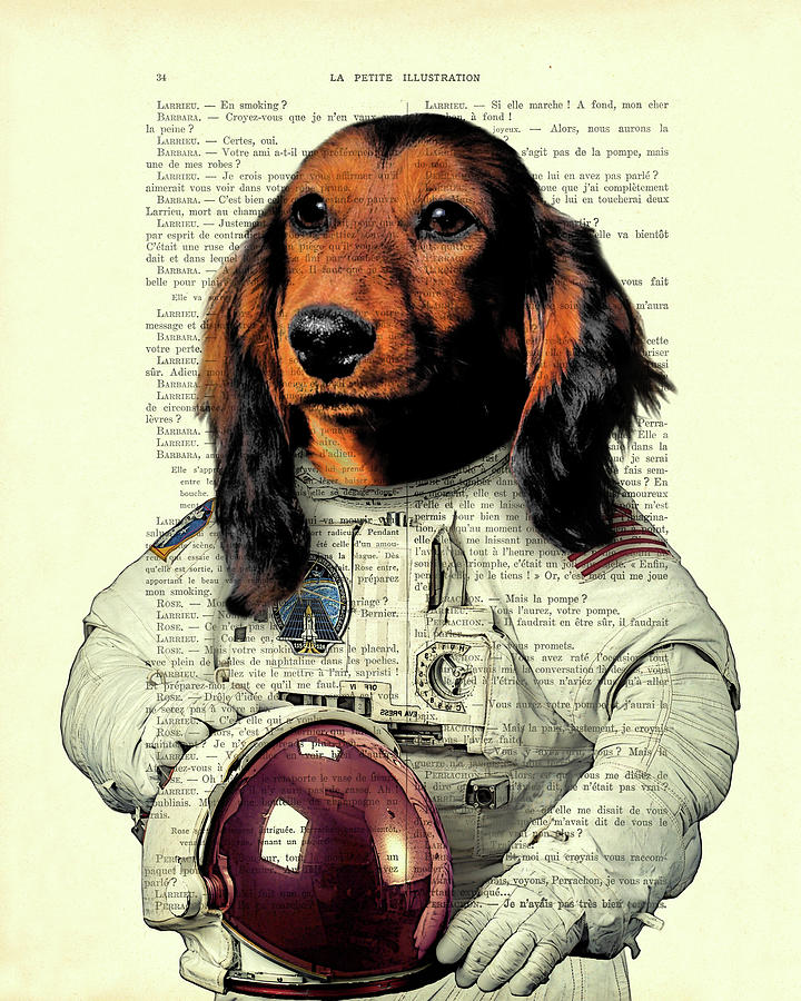 Space Digital Art - Dachshund astronaut art print by Madame Memento