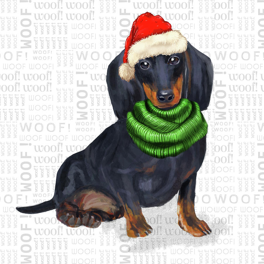Dachshund Christmas Dog Digital Art by Doreen Erhardt
