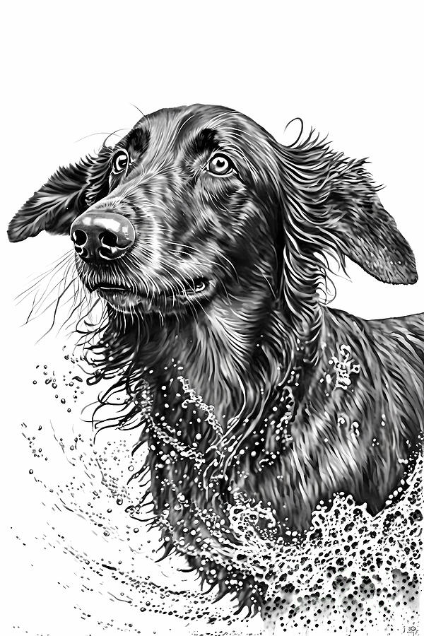 Dachshund Dog Ink Drawing In Splash of Inked Black and White Animal ...