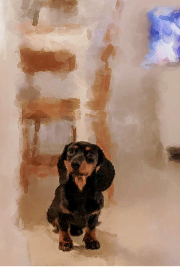 Dachshund Painting by Gary Arnold