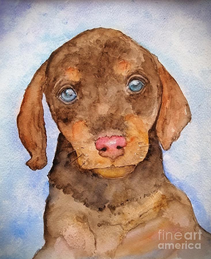 Dachshund Husky Mix Puppy Painting by Amalia Suruceanu