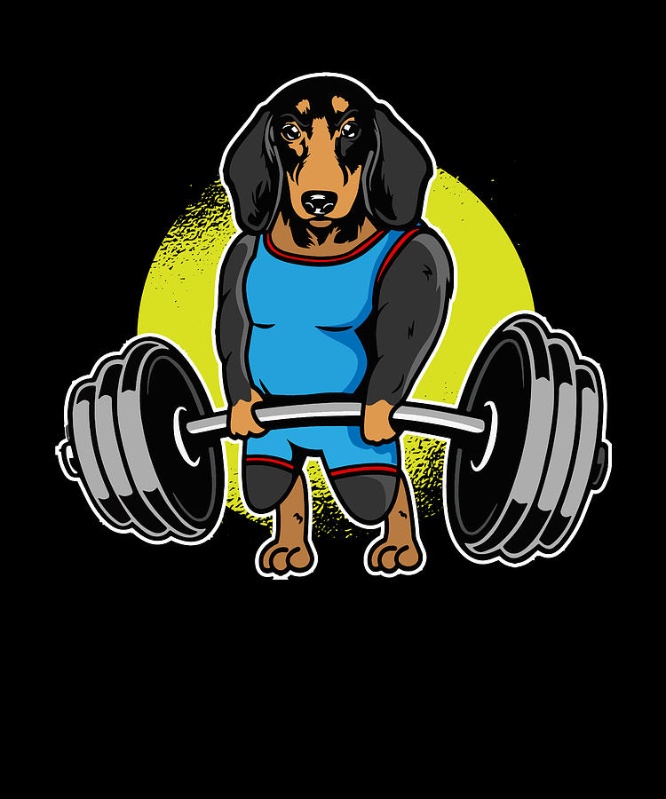 Dachshund Weightlifting Funny Deadlift Men Fitness Gym Gifts T-Shirt 