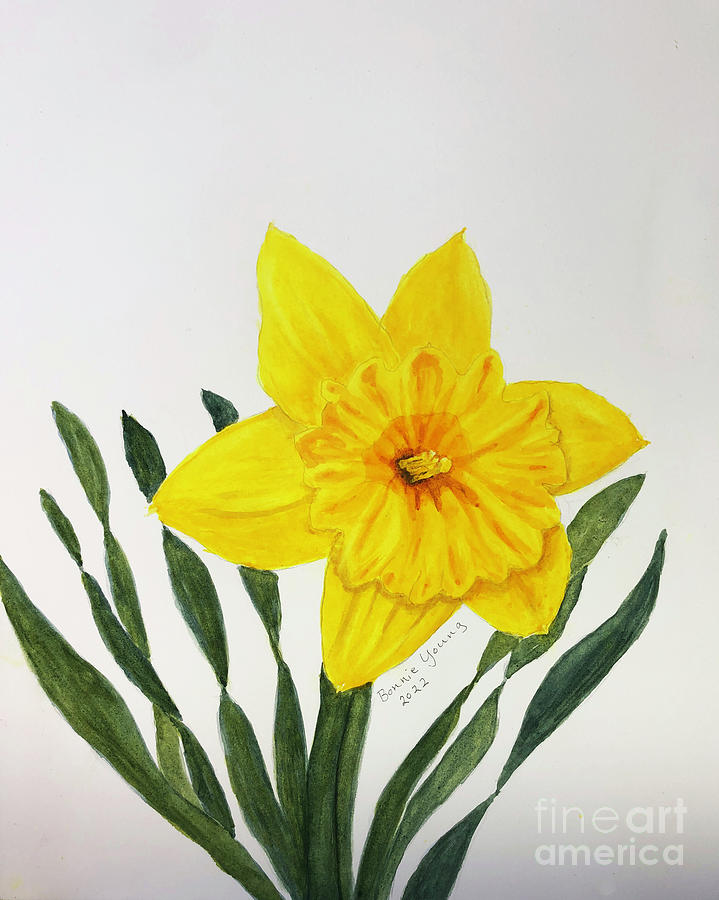 Daffodil Painting by Bonnie Young