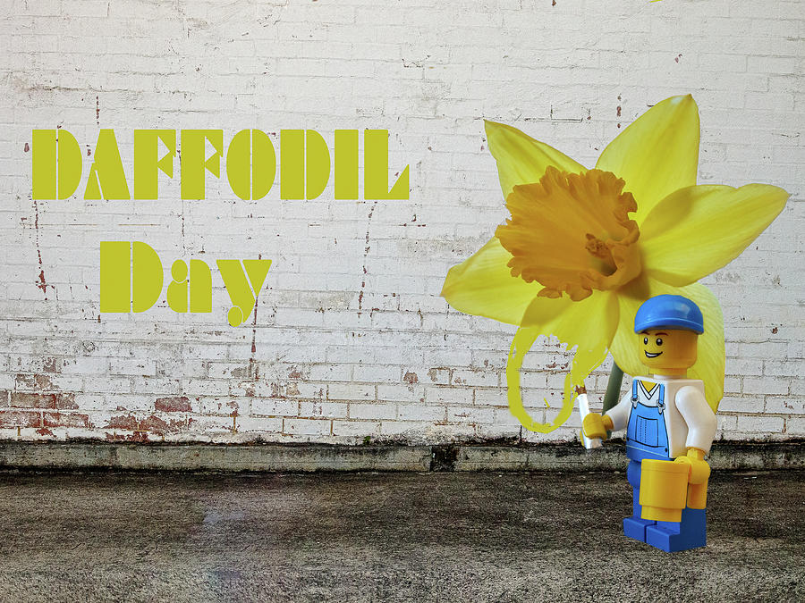 Daffodil Day Photograph - Daffodil Day by Deane Palmer
