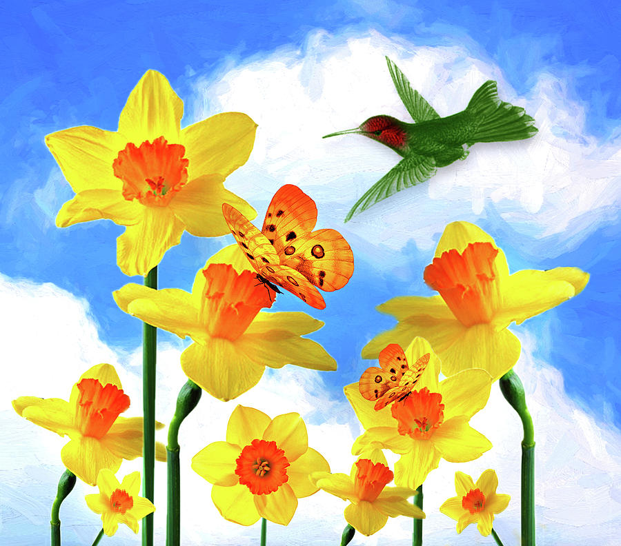 Daffodil Garden Hummingbird Digital Art by Doreen Erhardt