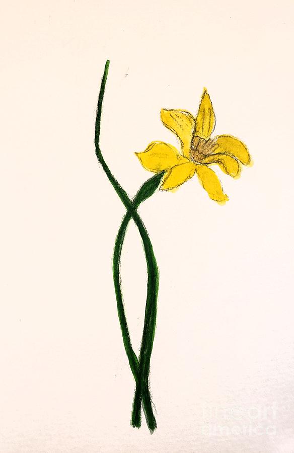 Daffodil  Painting by Margaret Welsh Willowsilk