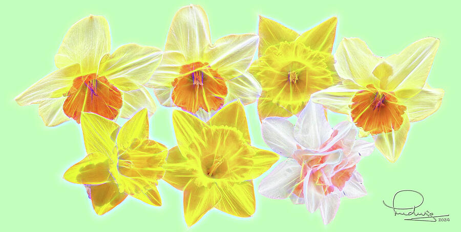 Daffodils - 2024 Digital Art by Ludwig Keck