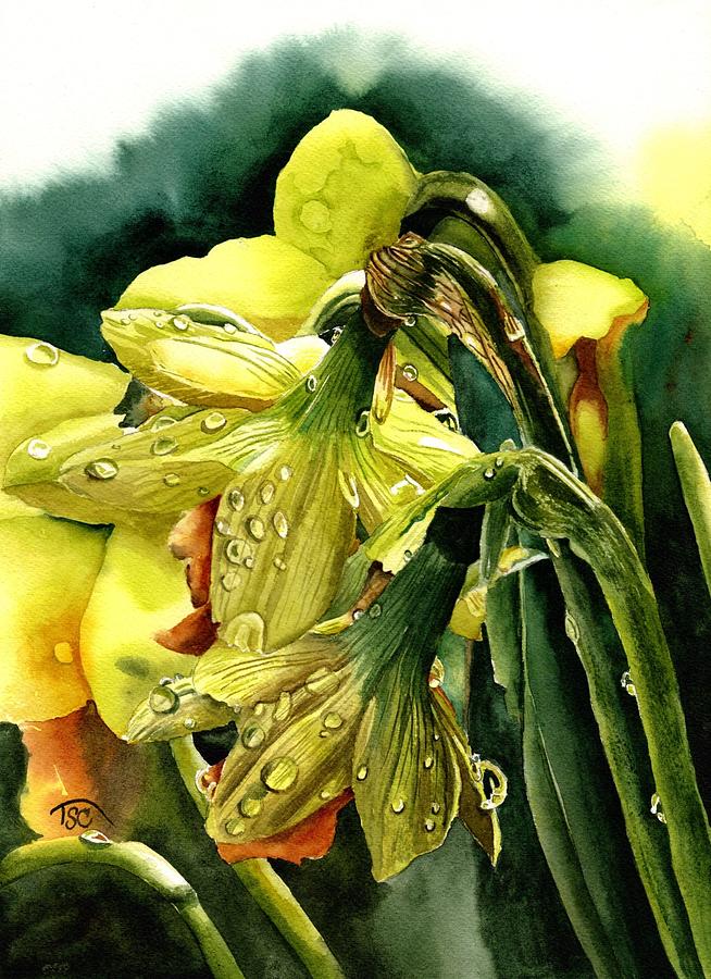 Daffodils after the Rain Painting by Tammy Crawford