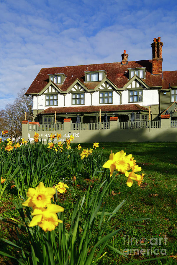 Daffodils and the Hand and Sceptre Hotel Southborough England Photograph by James Brunker