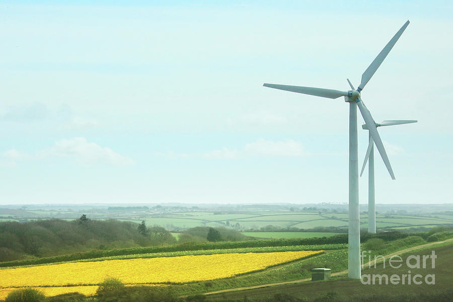 Daffodils and Wind Turbines Photograph by Terri Waters