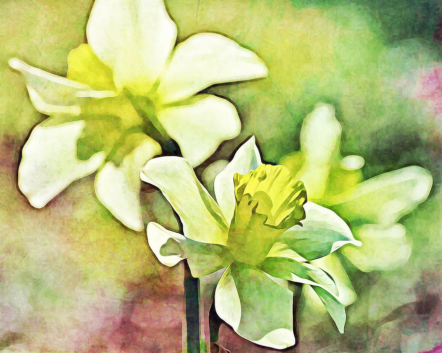 Daffodils Impressionistic Rendering Photograph by Gaby Ethington