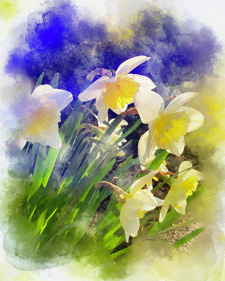 Daffodils in the Sunlight Digital Art by Sherrie Triest