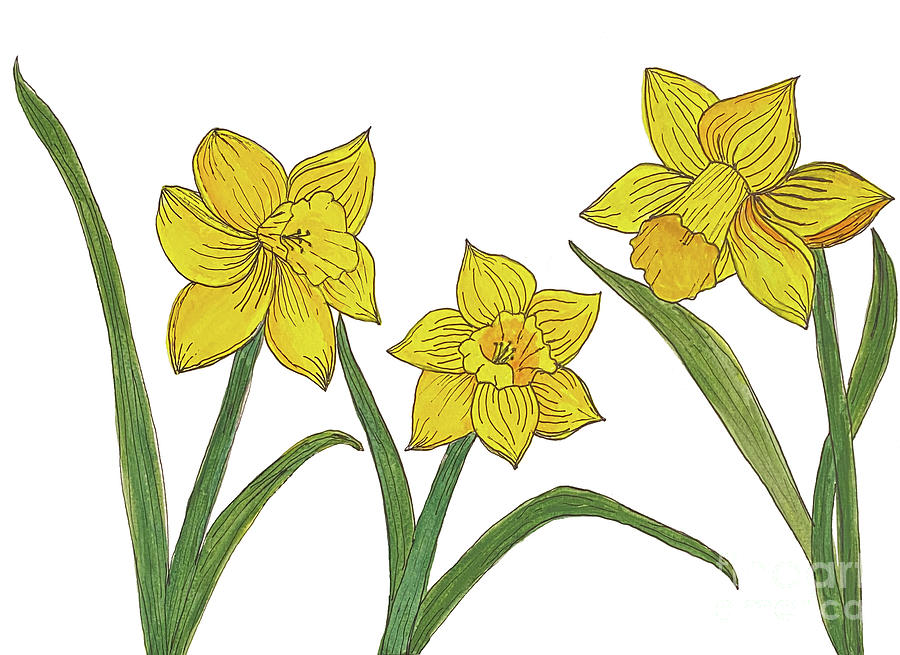Daffodils Mixed Media by Lisa Neuman