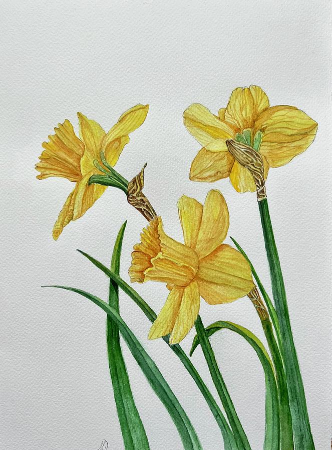 Daffodils Painting by Maggie Hart - Pixels