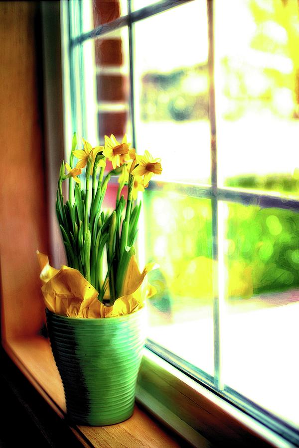 Daffodils On The Windowsill Photograph by James DeFazio
