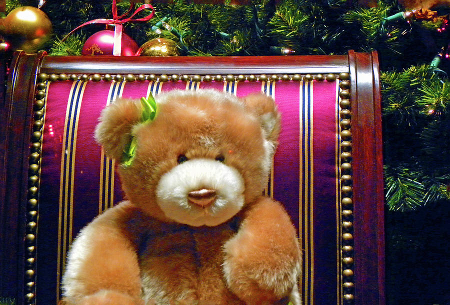 Teddy Bear Photograph by Sandra Ford