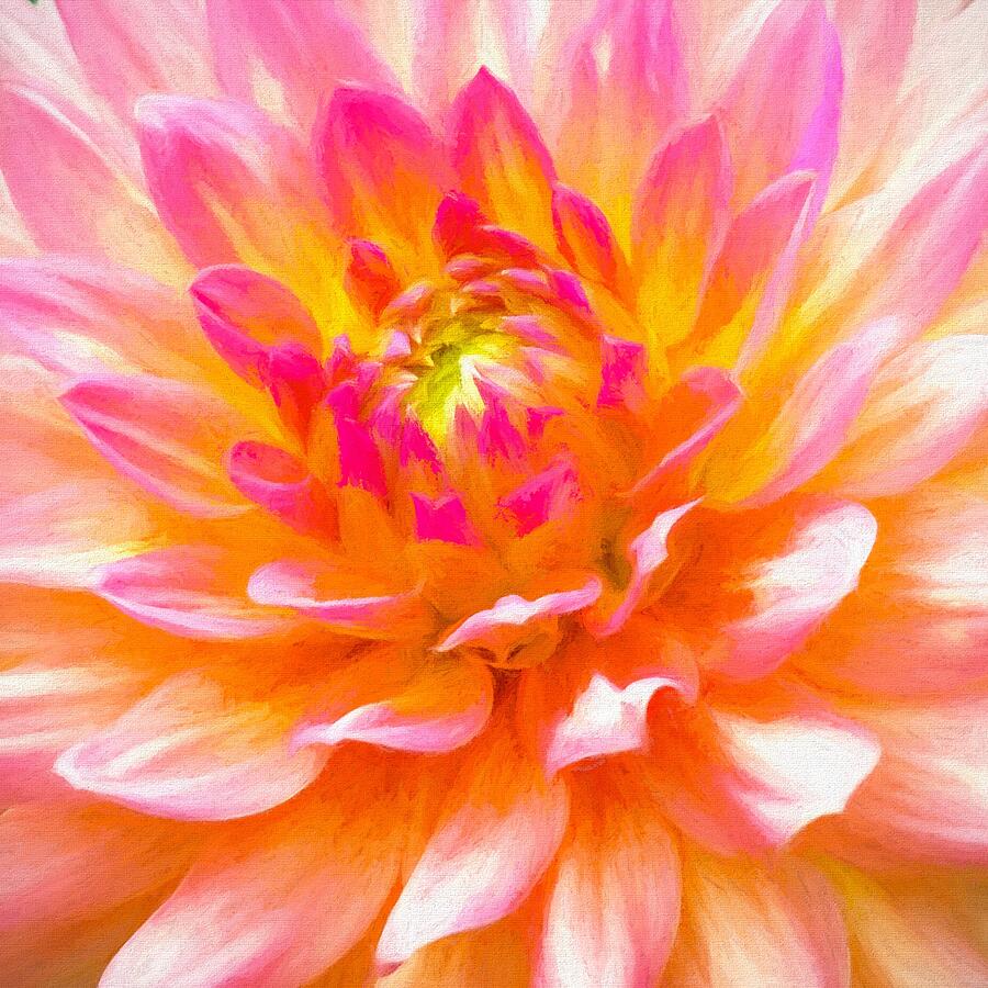 Dahlia Delight Oil Painting Photograph by Susan Rydberg