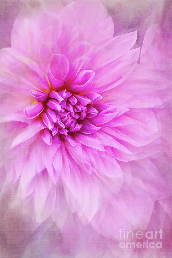Dahlia Dream Vertical Mixed Media by Sharon McConnell