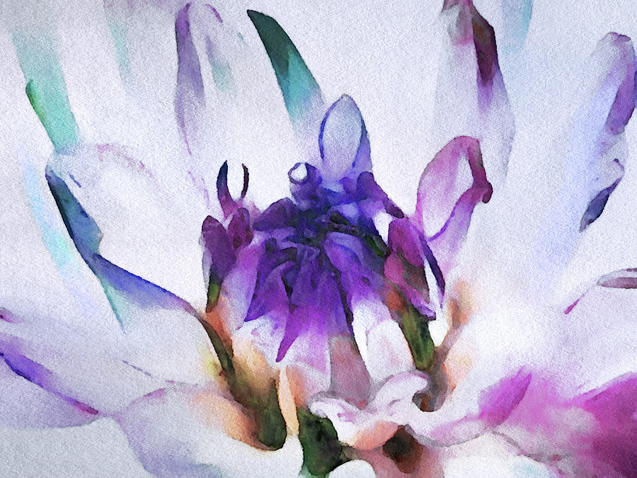 Dahlia in Watercolor Digital Art by Susan Maxwell Schmidt