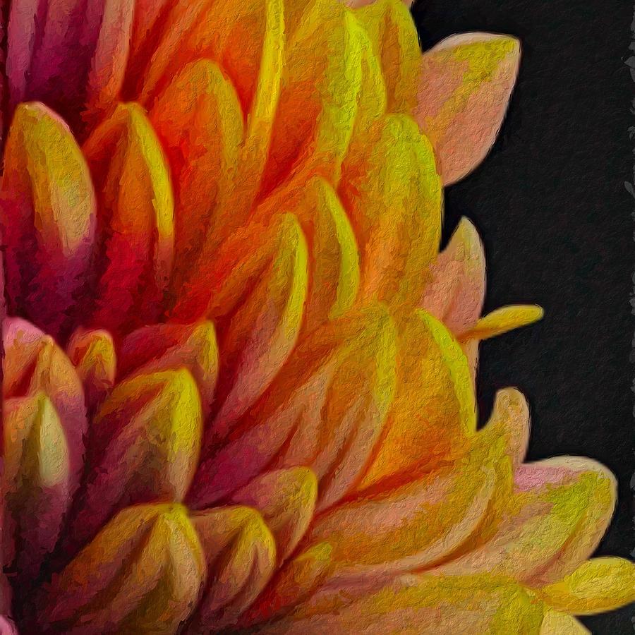 Dahlia - red, yellow, umber, maroon Painting by Bonnie Bruno