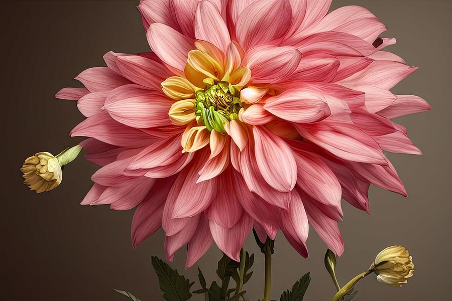 Dahlia Digital Art by Sterling and Thorn Dahlia Digital Art by Sterling and Thorn