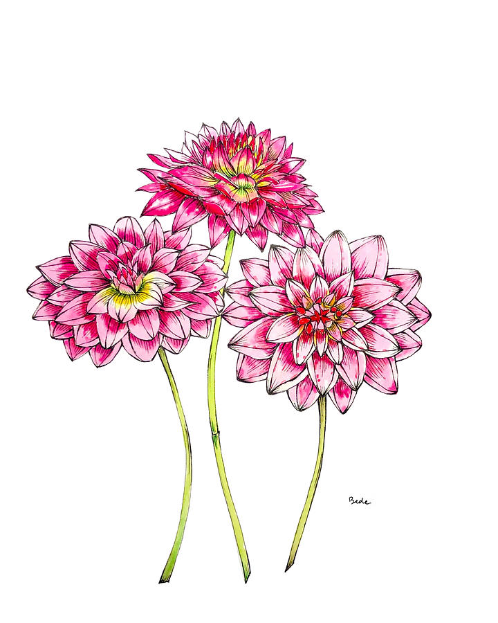 Dahlias for Frances II Painting by Catherine Bede
