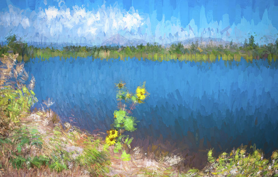Daigre Lake La Veta Colorado Abstract  Photograph by Debra Martz