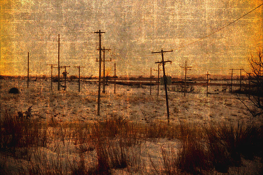 Daily verticals Photograph by Michael Gross