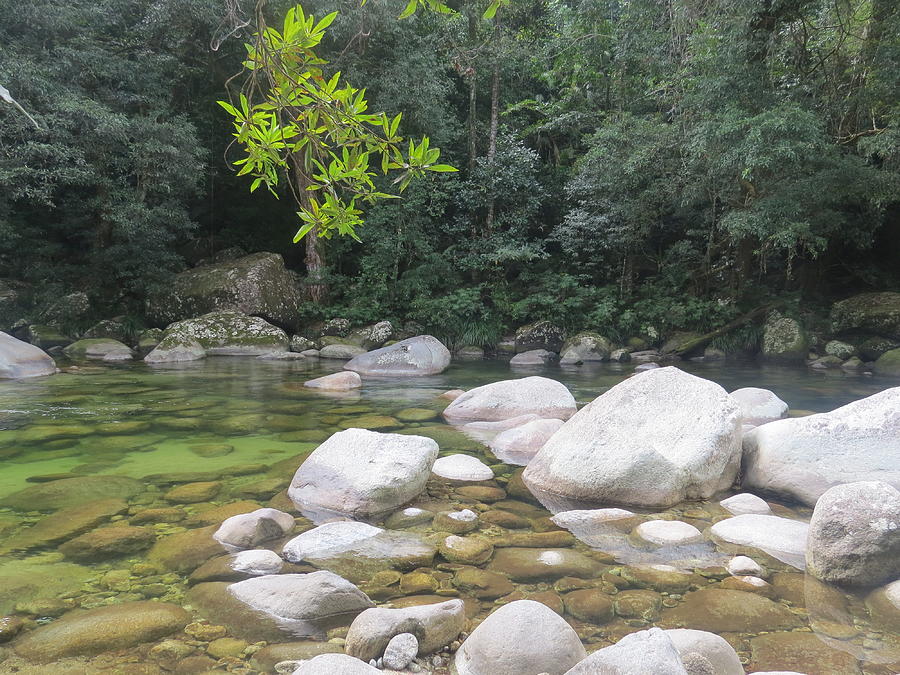 Daintree Rainforest Rocks And Water Photograph by Jaya's Moonlight ...