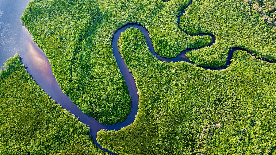 Daintree River Bends Photograph by Michael Cook - Altai World Photography