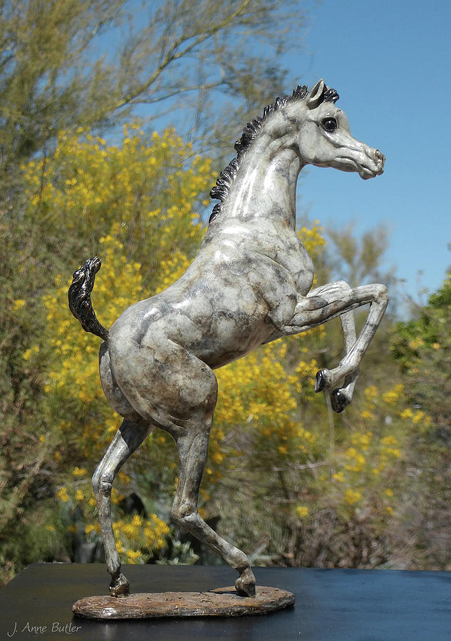 Dainty Dancer - bronze foal  Sculpture by J Anne Butler