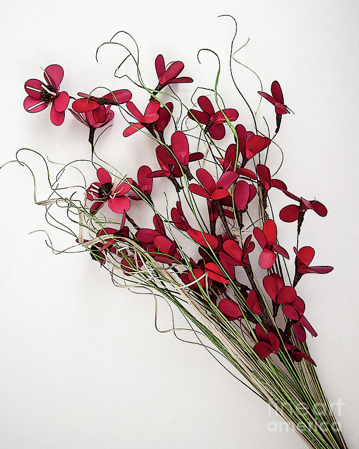 Dainty Red Left Slanted Bouquet Digital Art by Kirt Tisdale