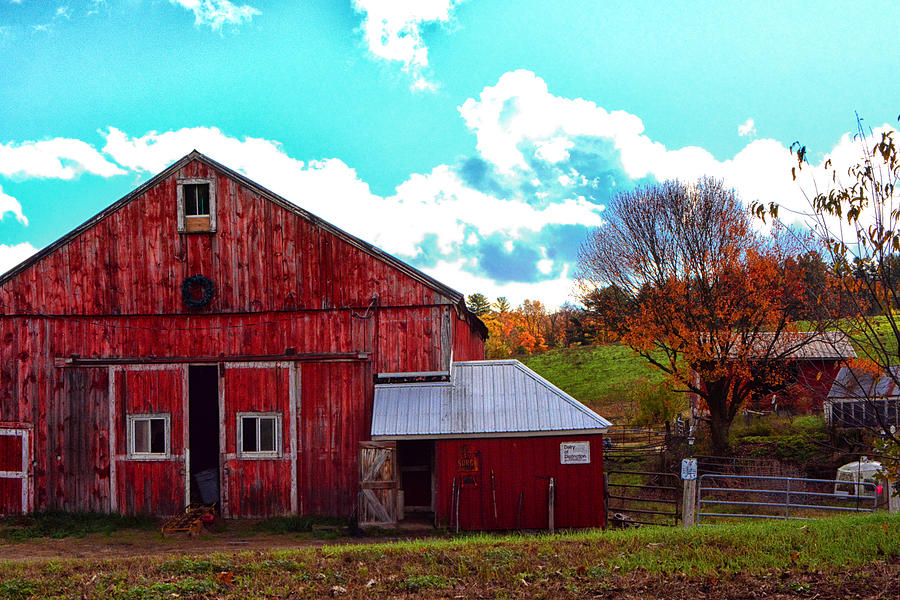 Dairy of Distinction Photograph by Mike Martin - Pixels