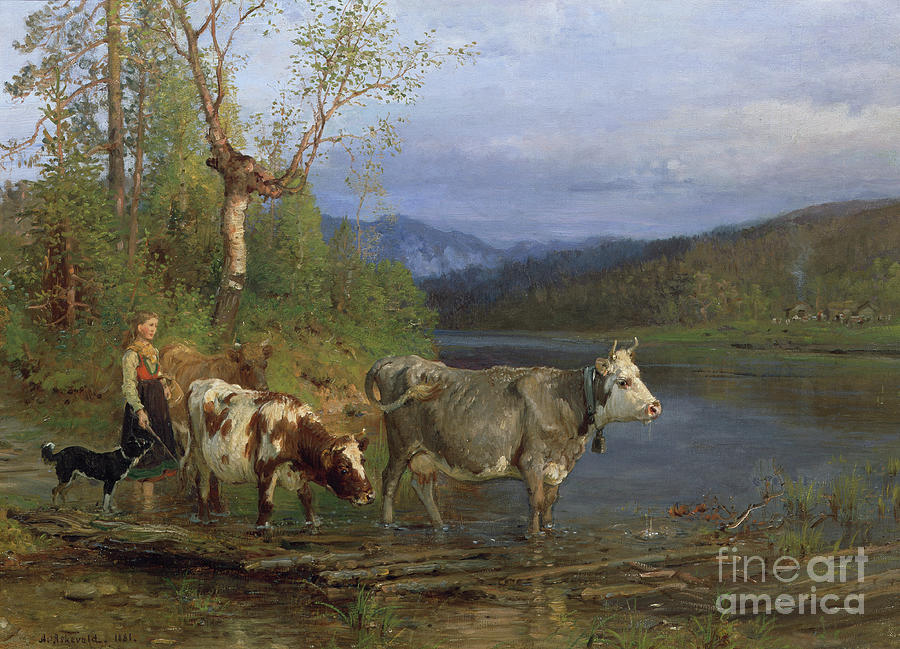 Dairymaid with cows, 1881 Painting by O Vaering by Anders Askevold