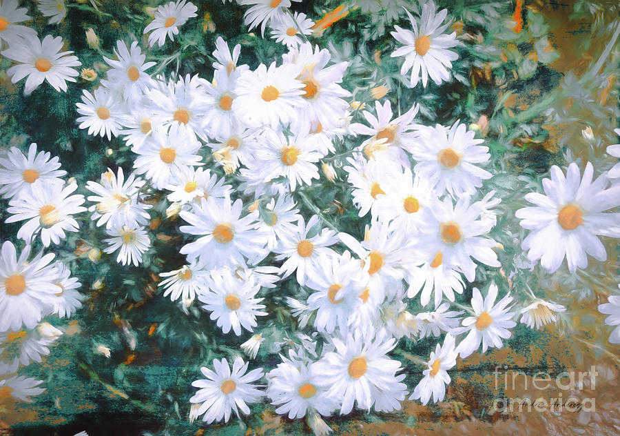 Daisies 3 #painting Photograph by Andrea Anderegg