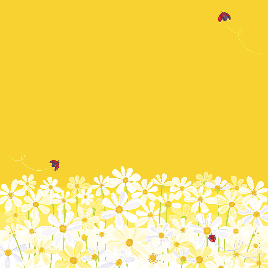 Daisies against yellow background with flying ladybugs Drawing by Rusanovska