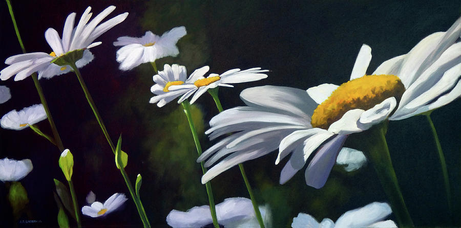 Daisies Painting by Alecia Underhill