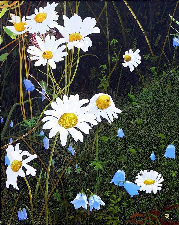 Daisies and Harebells Painting by Sam Hall Daisies and Harebells Painting by Sam Hall