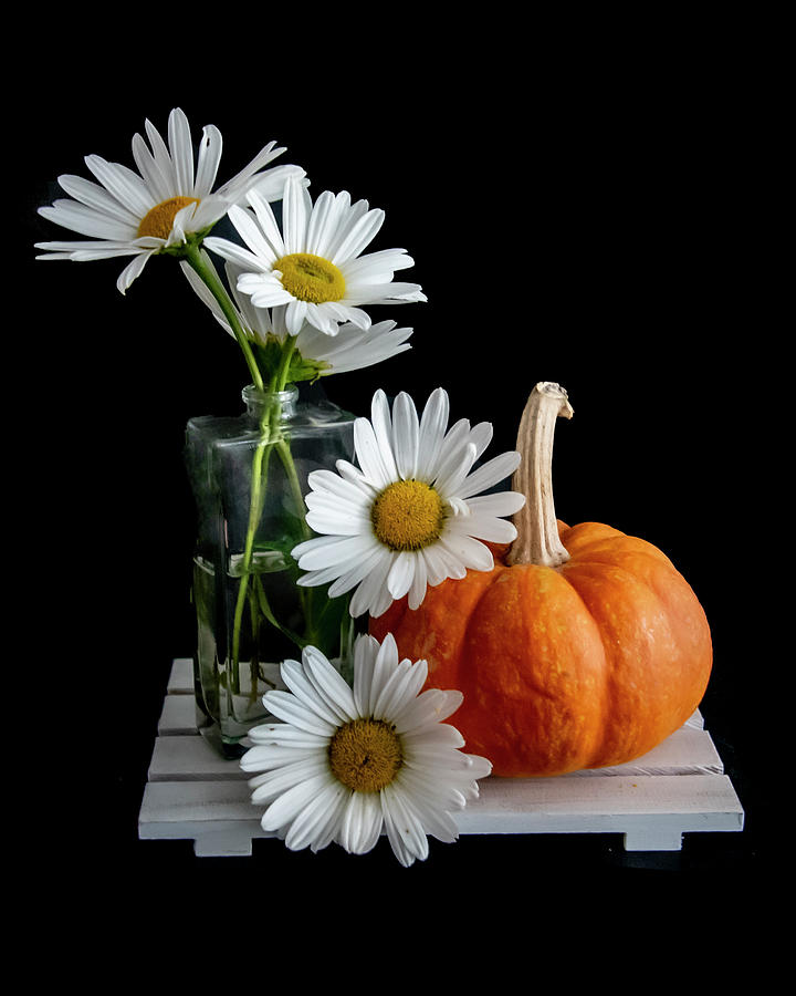Daisies and Pumpkin Photograph by Cathy Kovarik