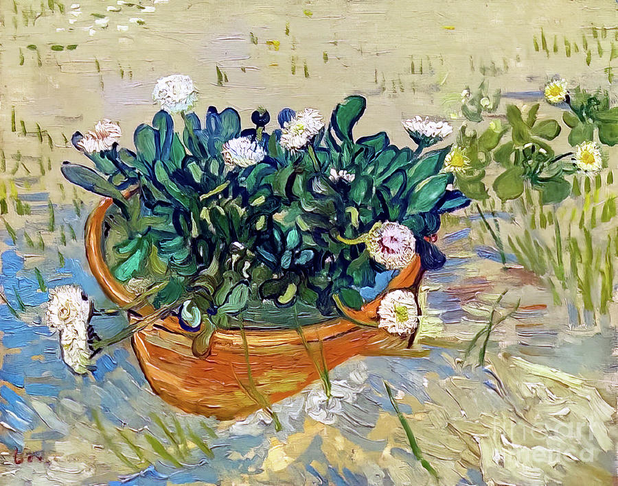Daisies, Arles by Vincent Van Gogh 1888 Painting by Vincent Van Gogh