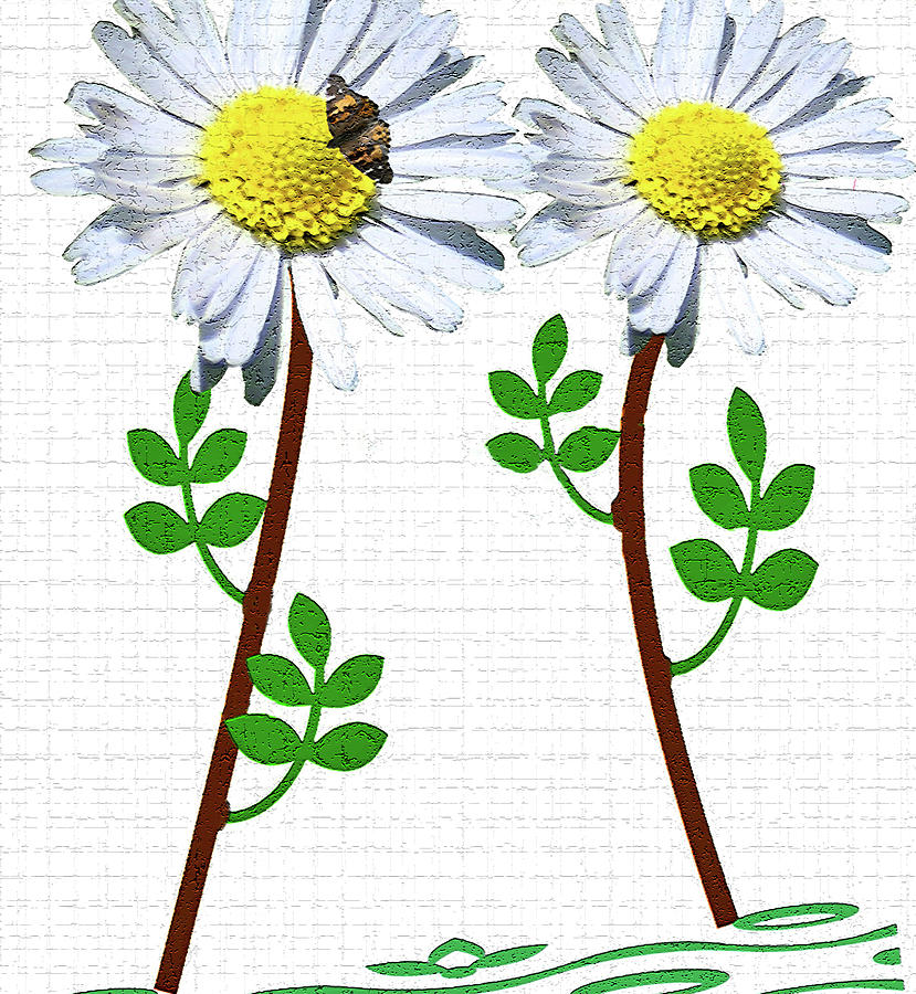 Daisies - Flowers Digital Art by Marie Jamieson