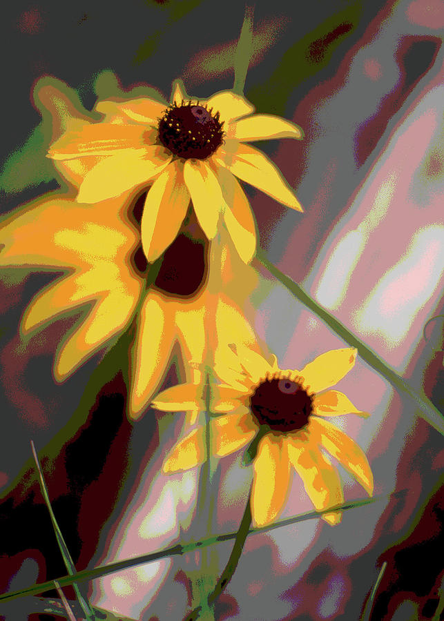 Daisies Mixed Media by Francine Rondeau