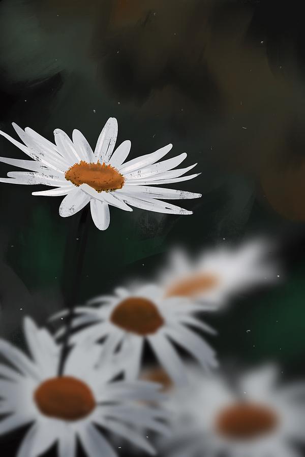 Daisies From A Dream 3 Mixed Media