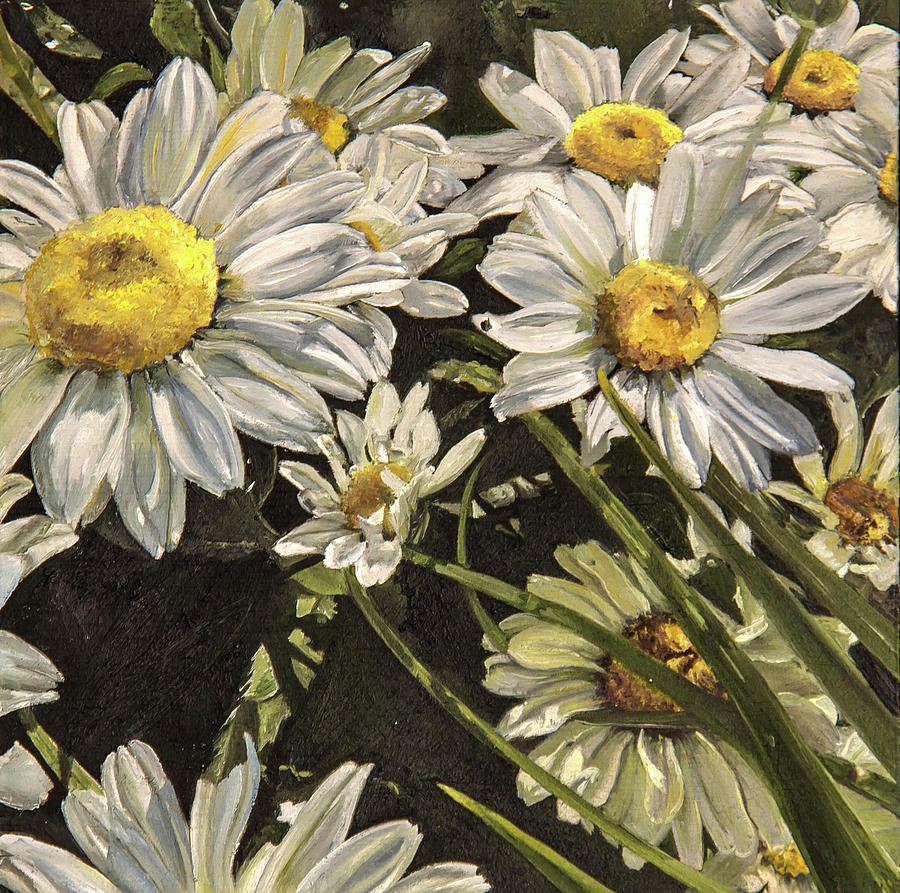 Daisies Galore Painting by Nila Jane Autry