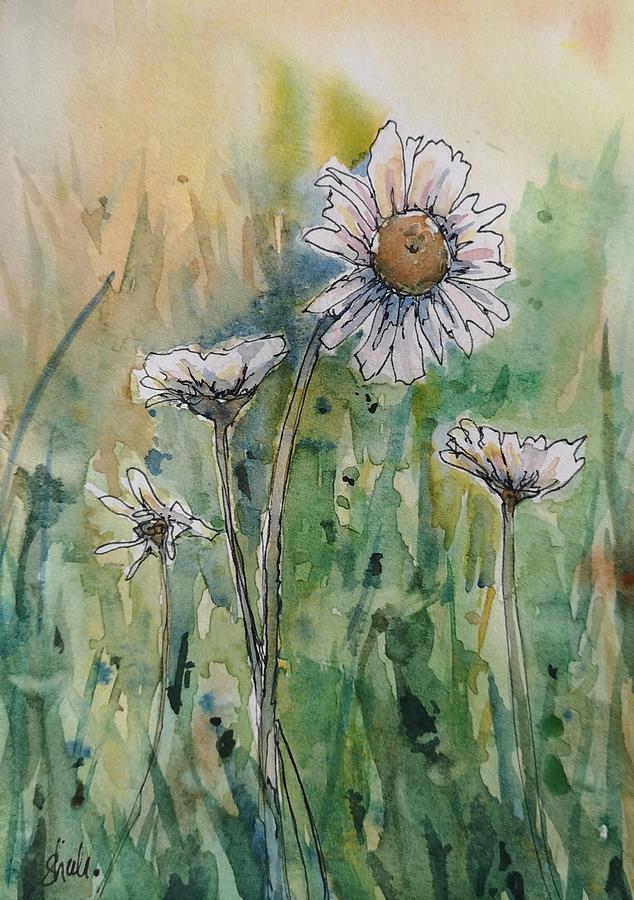 Daisies Painting by Sheila Romard