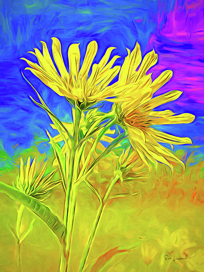 Daisies with painted look Photograph by Sue Leonard