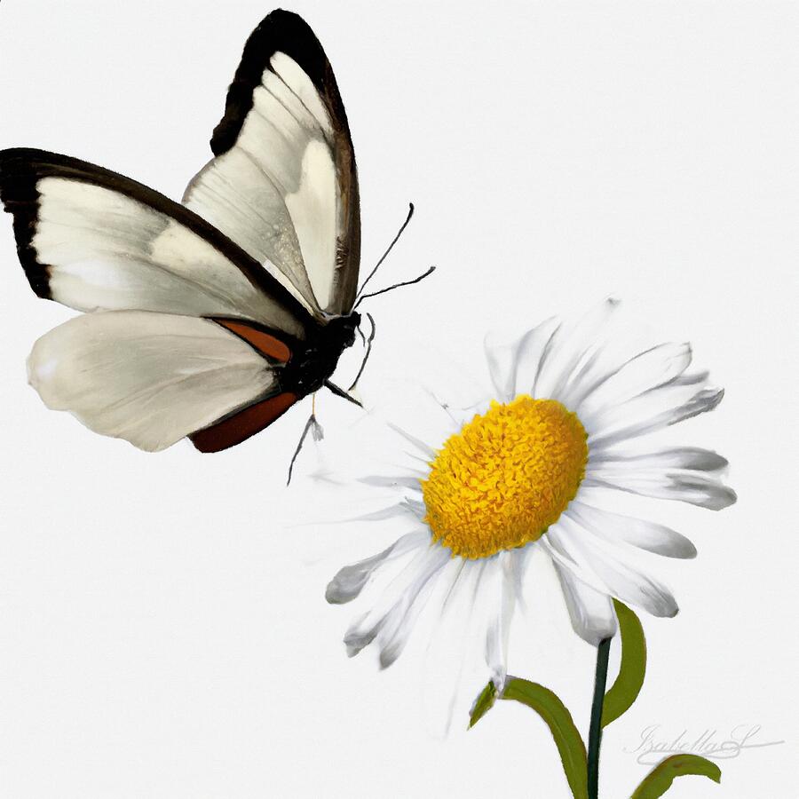 Daisy Digital Art - Daisy and Butterfly by Abbie Shores