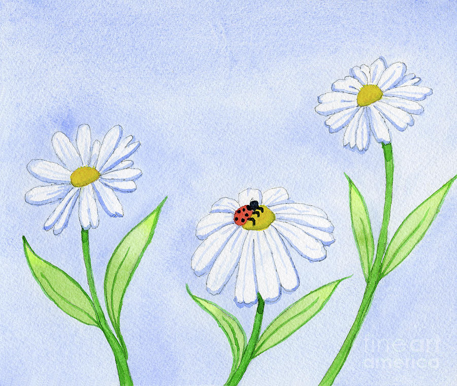 Daisy and Lady Bug Painting by Norma Appleton