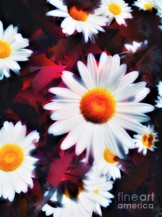 Daisy Blooming Painting by Jacqueline McReynolds