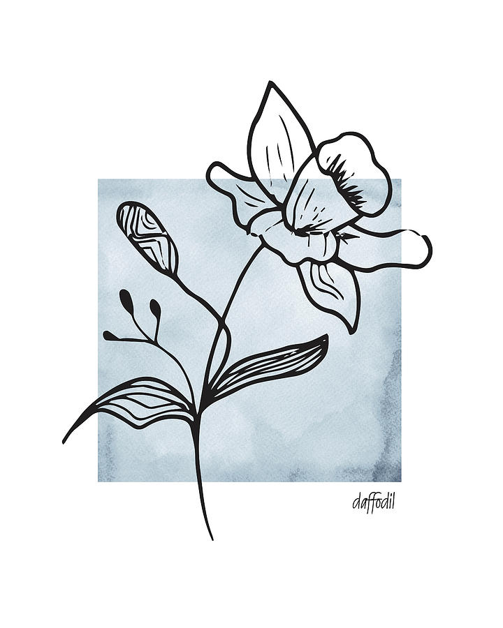 Daffodil Blue Square Drawing by Mia Ainardi - Fine Art America